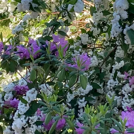 Prázdninový dům La Maison De Lucie Surbourg