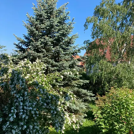 La Maison De Lucie *