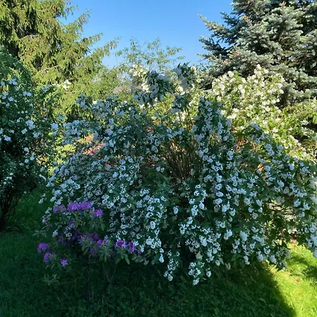 La Maison De Lucie *