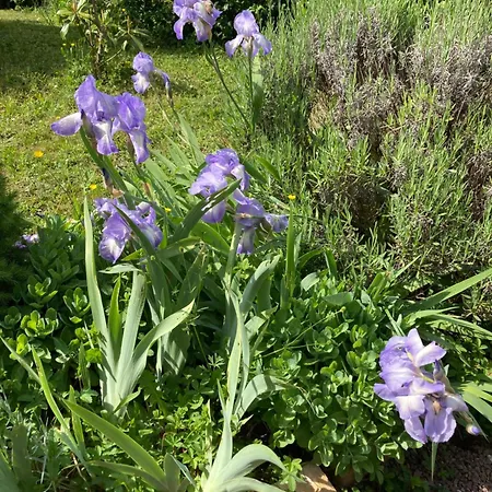 La Maison De Lucie Prázdninový dům