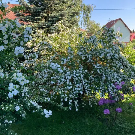 Prázdninový dům La Maison De Lucie *